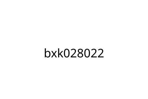bxk028022
