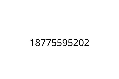 18775595202