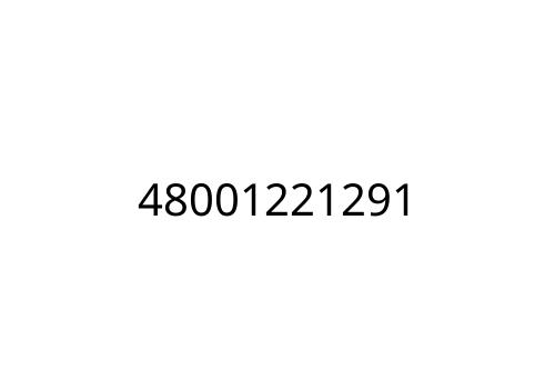 48001221291