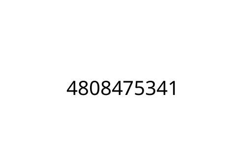 4808475341