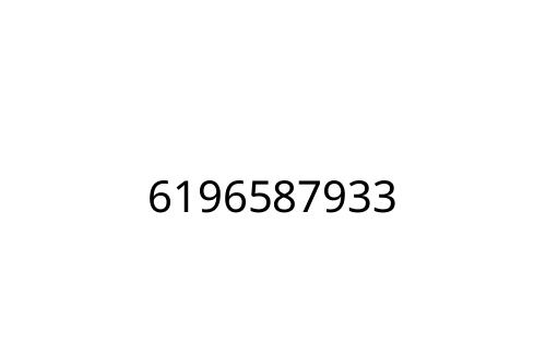 6196587933