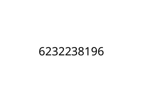 6232238196