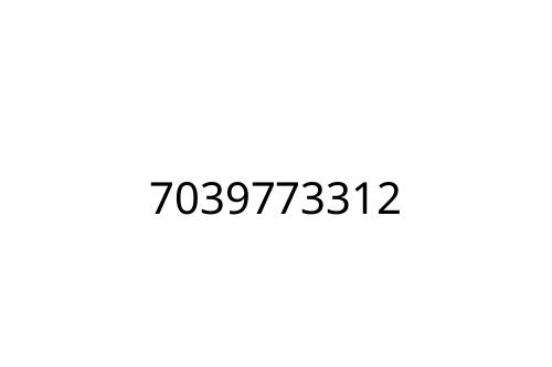 7039773312