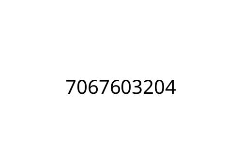 7067603204