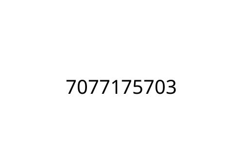 7077175703