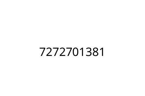 7272701381