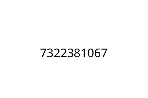 7322381067