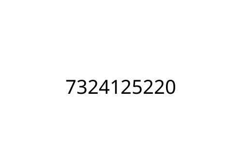 7324125220
