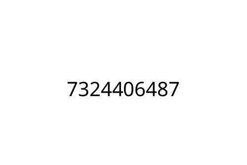7324406487