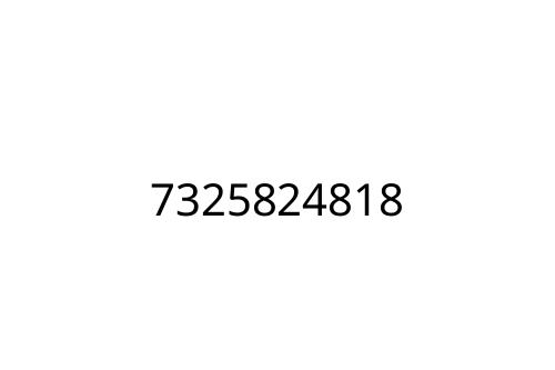 7325824818