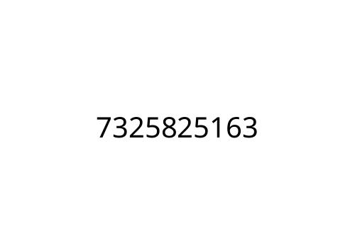7325825163