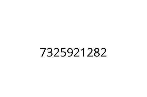 7325921282