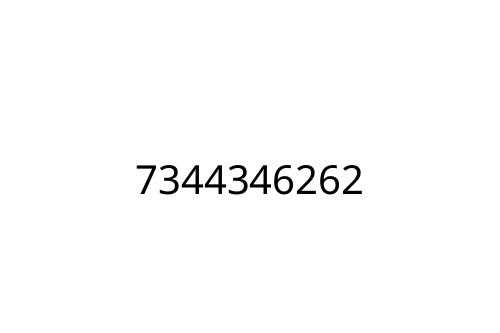 7344346262