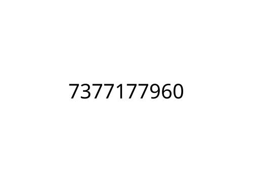 7377177960