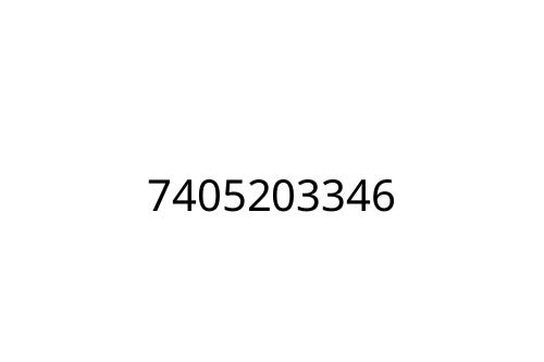 7405203346