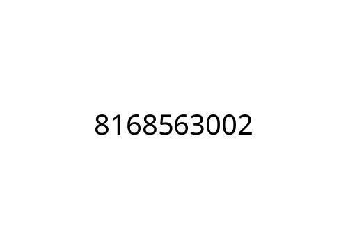 8168563002