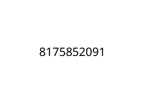 8175852091