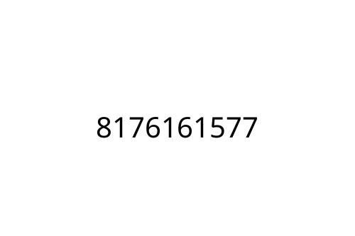 8176161577