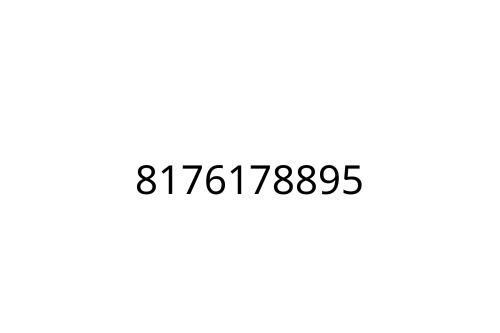 8176178895