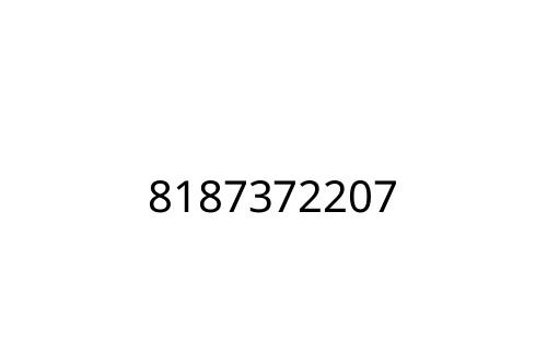 8187372207