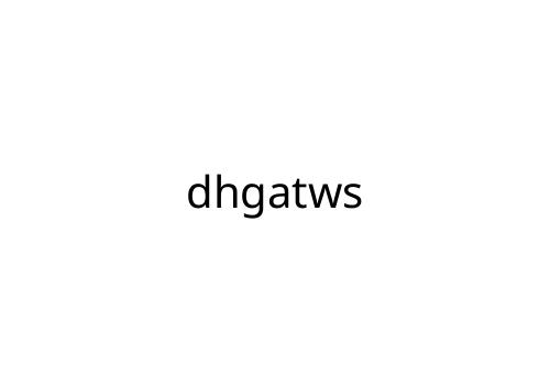 dhgatws