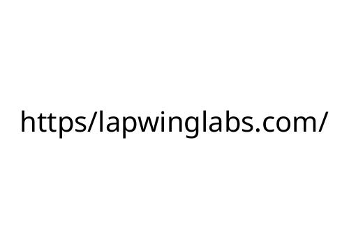 https_lapwinglabs_com_