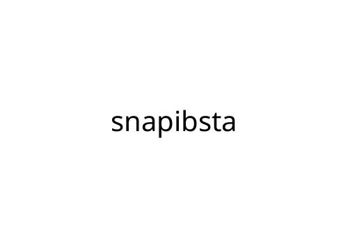 snapibsta