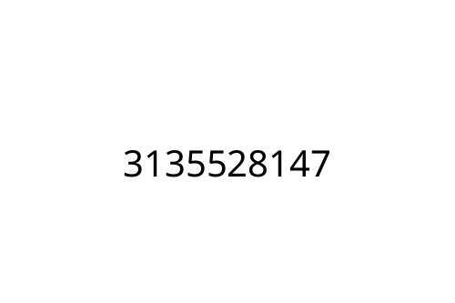 3135528147