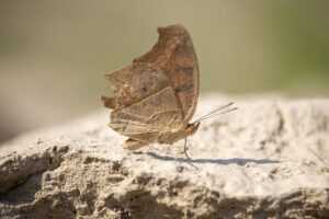 choppy layers low maintenance choppy shaggy shoulder length hair