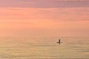 2026 e-sports trends