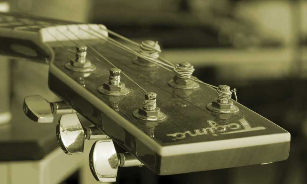 how tazopha investment group work