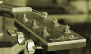 how tazopha investment group work