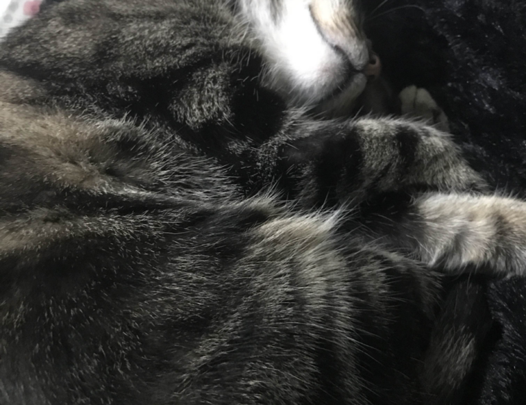 3000 dolares a pesos chilenos