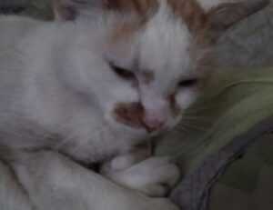 baby tv what a wonderful day chomikuj