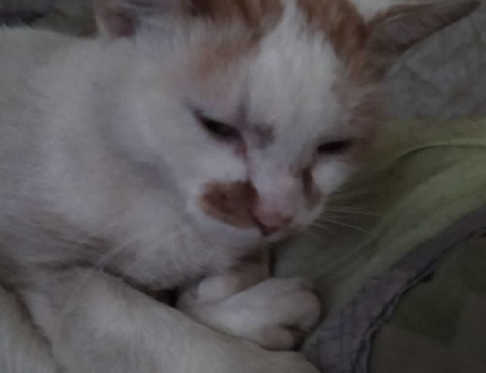 baby tv what a wonderful day chomikuj