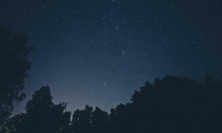 daytime star mangabuddy