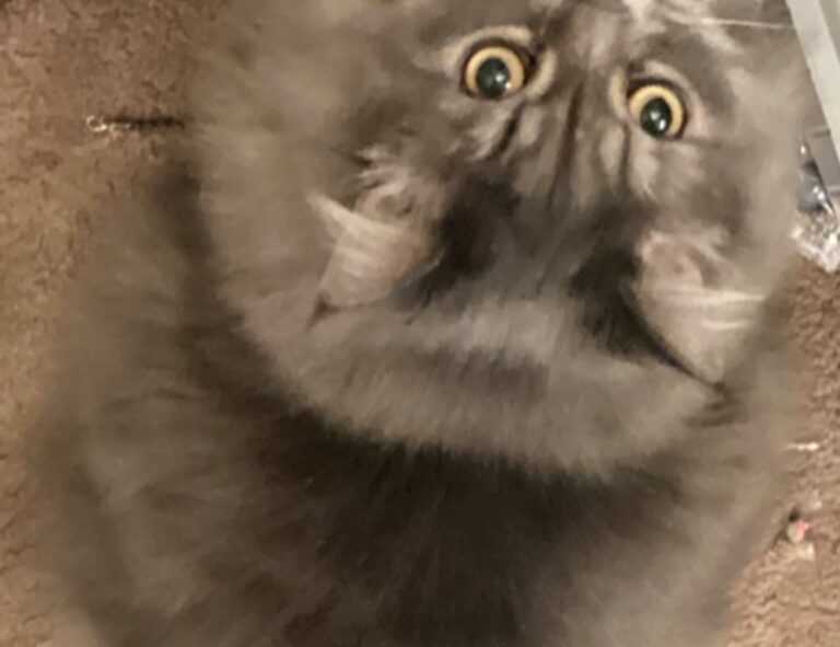 link telegram viral 2023 malaysia