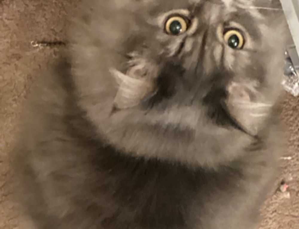 link telegram viral 2023 malaysia