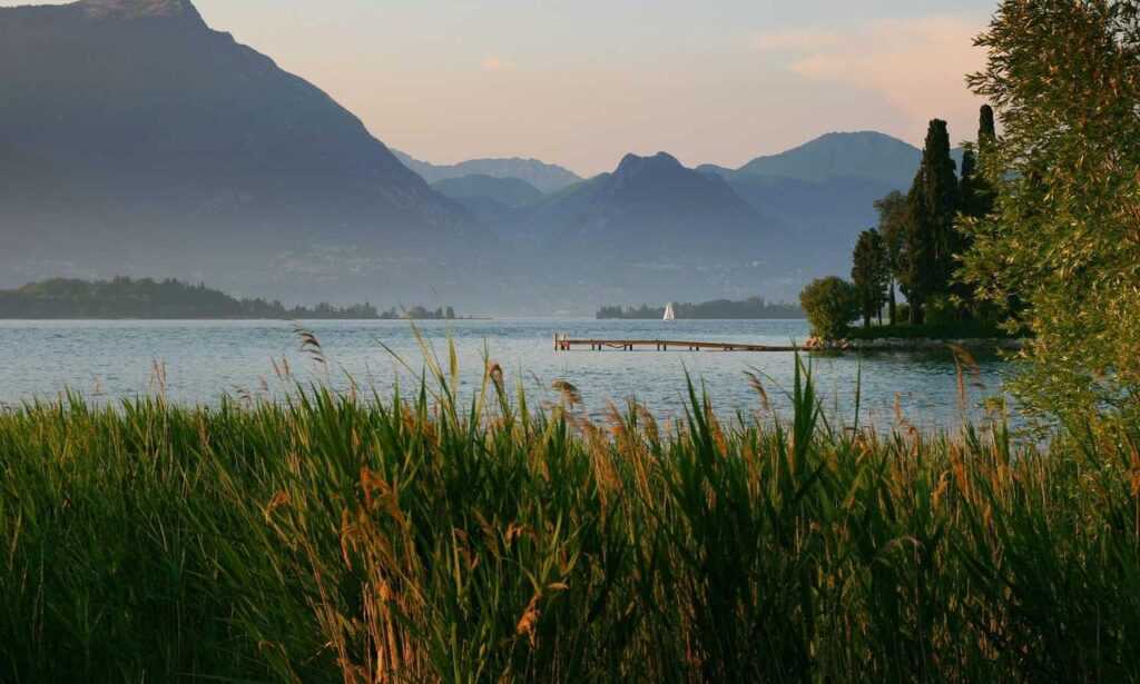 mia sofie onlyfans leaks