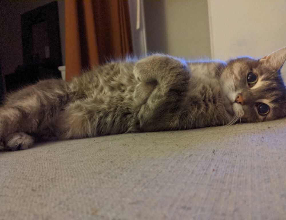 tamilyogi movie download isaimini