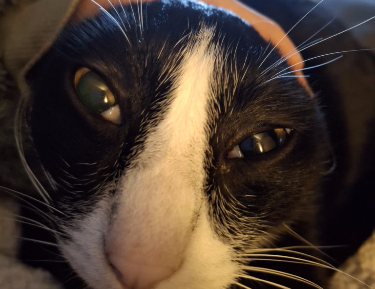 versuri de la george michael careless whispers