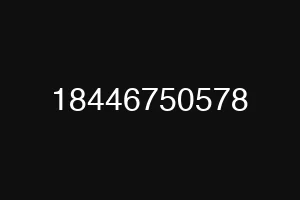 18446750578