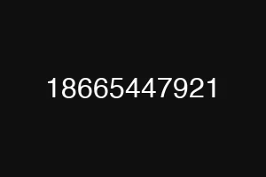 18665447921