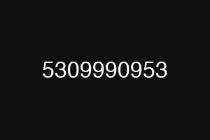 5309990953