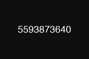 5593873640