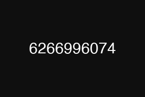 6266996074