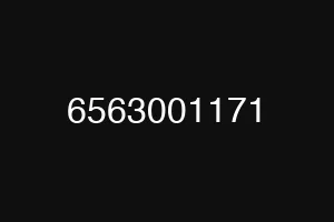 6563001171