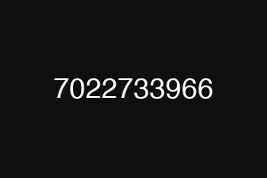 7022733966