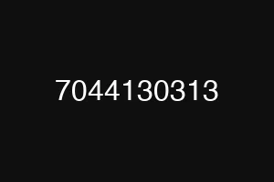 7044130313