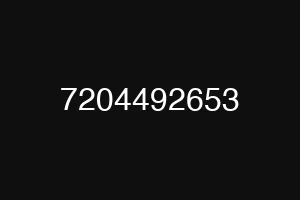 7204492653